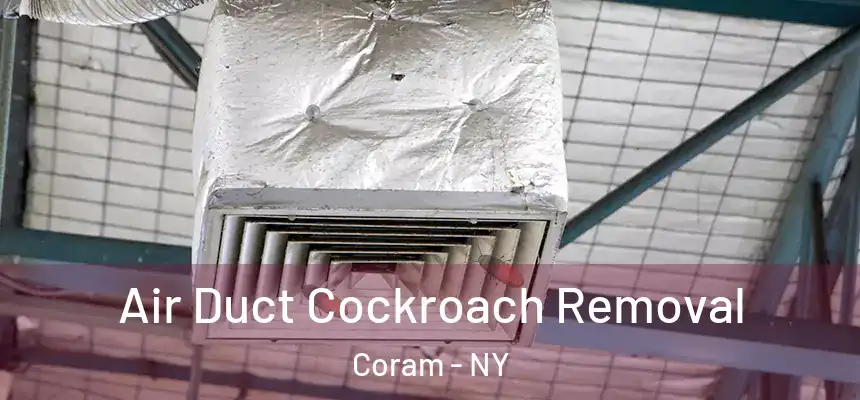  Air Duct Cockroach Removal Coram - NY