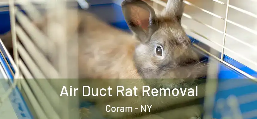 Air Duct Rat Removal Coram - NY