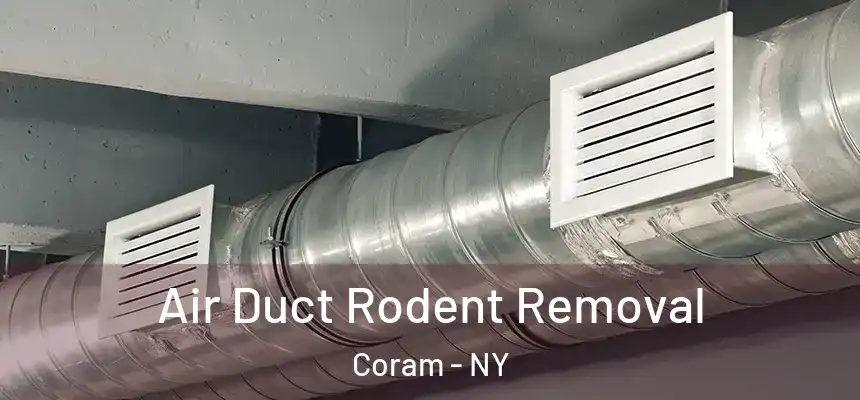 Air Duct Rodent Removal Coram - NY