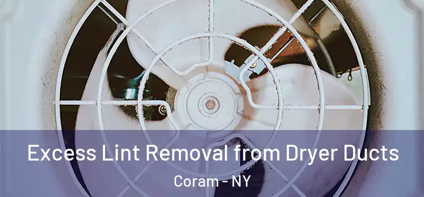  Excess Lint Removal from Dryer Ducts Coram - NY