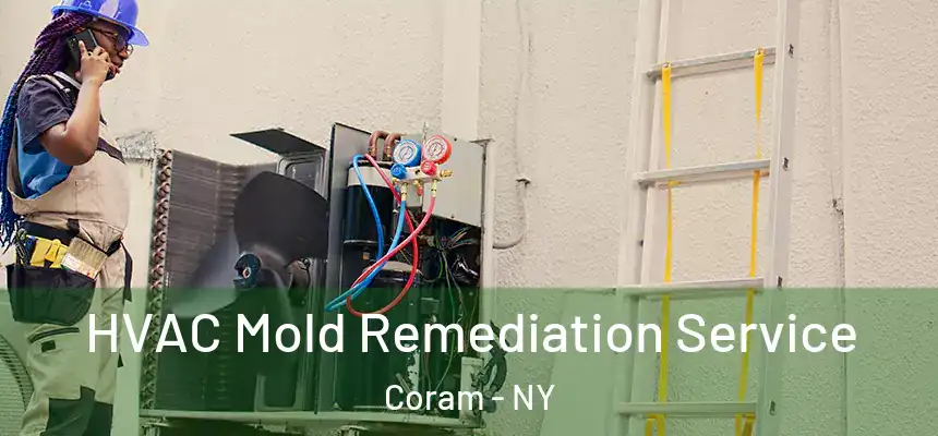 HVAC Mold Remediation Service Coram - NY