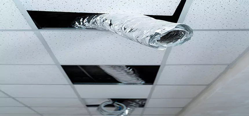 Our Air Duct Pet Hair Removal Services in Coram, NY