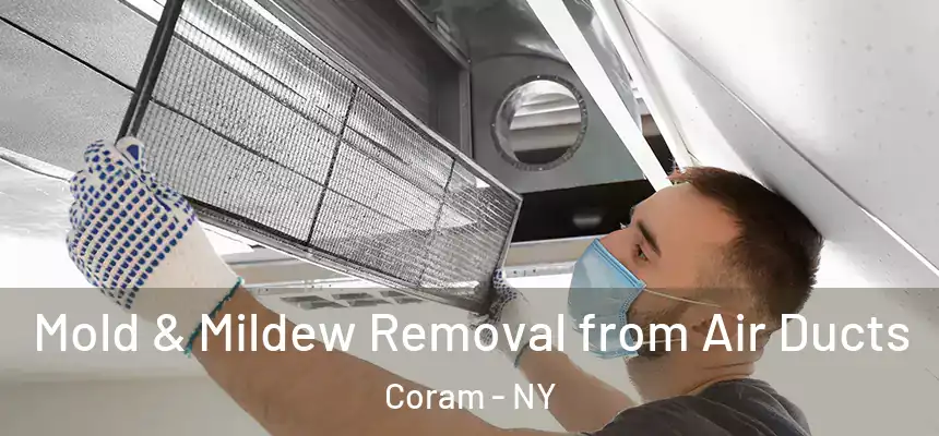  Mold & Mildew Removal from Air Ducts Coram - NY