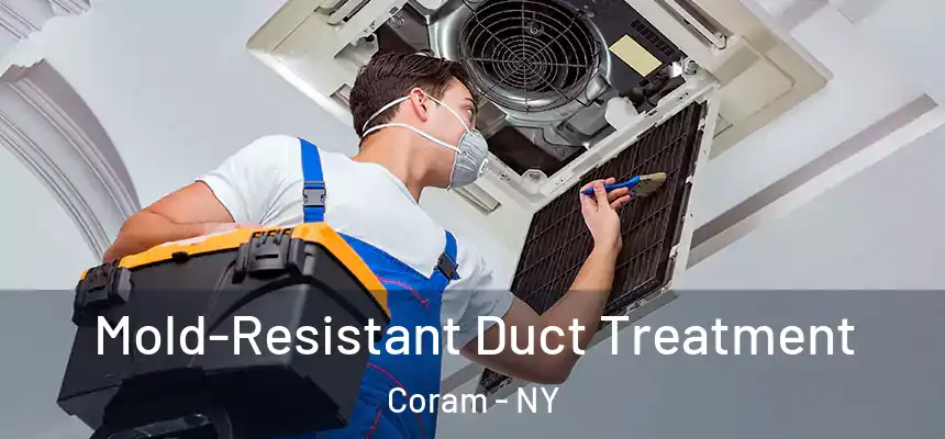  Mold-Resistant Duct Treatment Coram - NY