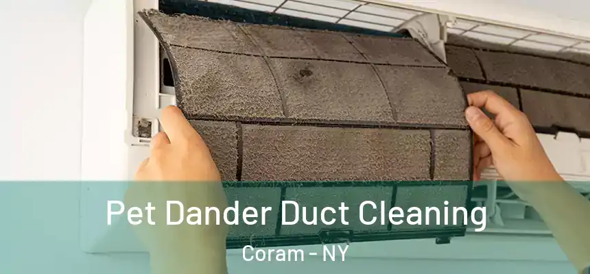  Pet Dander Duct Cleaning Coram - NY