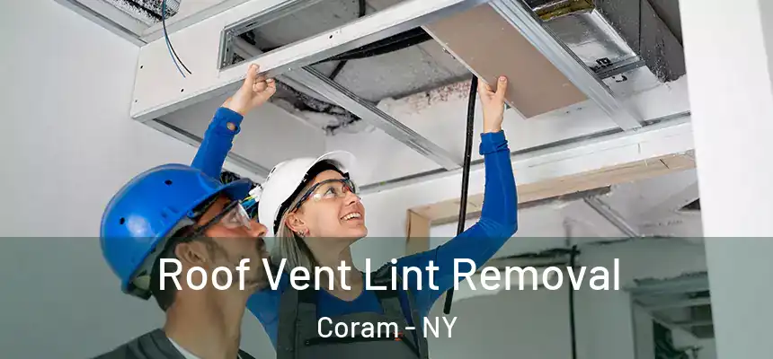  Roof Vent Lint Removal Coram - NY
