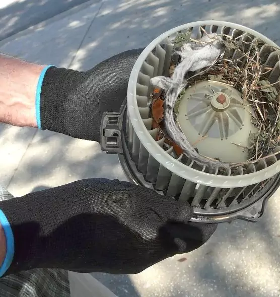 About Air Duct Rat Removal in Coram, NY