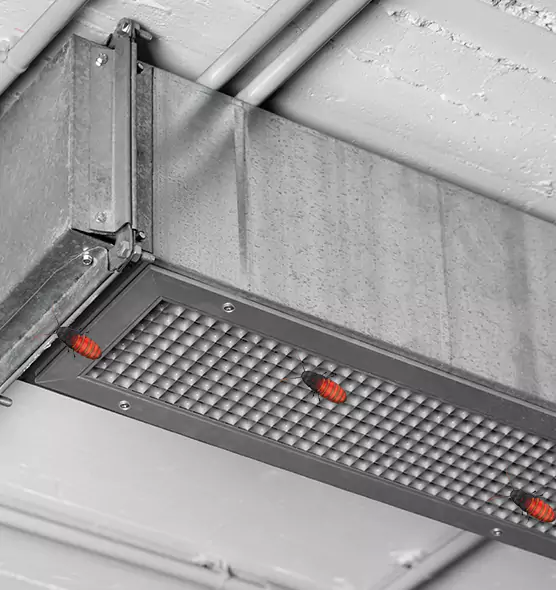 Affordable Insect Removal from Air Ducts in Coram, NY